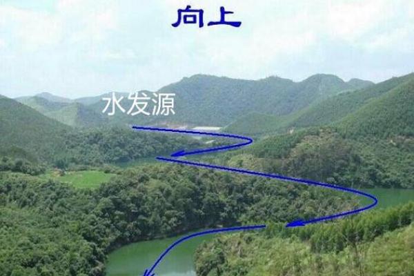 水旺格局性格解析:揭秘成功人士的秘密武器,反而更简单? 水旺格局性格解析:揭秘成功人士的秘密武器,反而更简单?