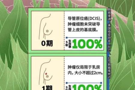 胸部命理颠覆传统：隐藏在胸部的命运密码