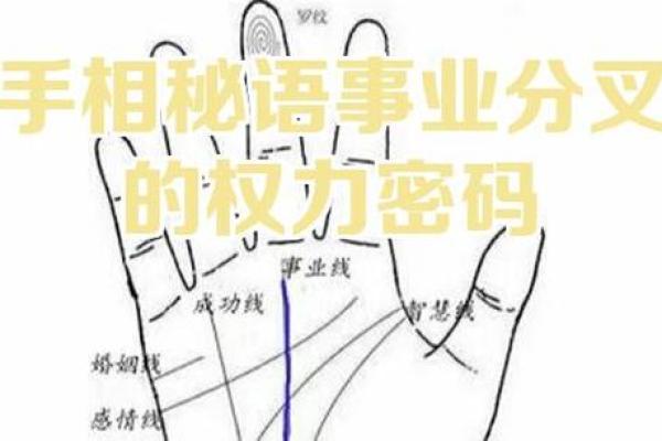 段建业盲派命理究竟暗藏什么玄机?命运密码反而决定了你的未来 段建业盲派命理究竟暗藏什么玄机?命运密码反而决定了你的未来