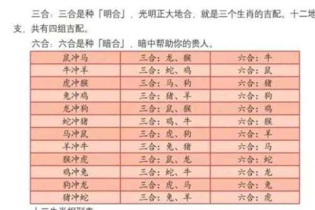 五行格局如何影响人际关系？揭秘性格互动的奥秘