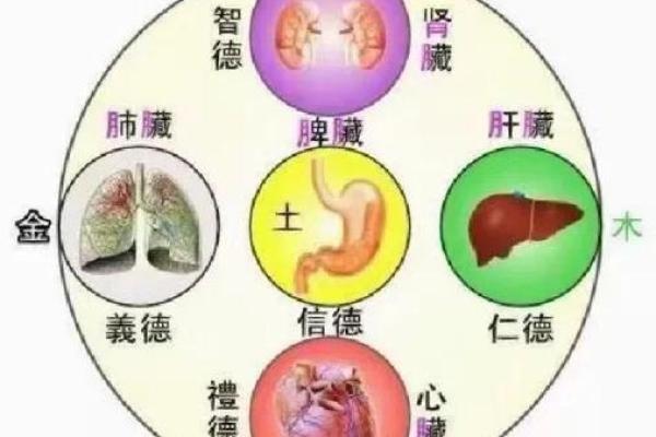 如何改变五行金多？揭秘性格误区，让你焕发新生