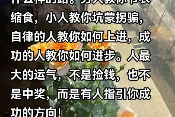 五行误区大揭秘：属土的你，这些忌讳反而助你成功