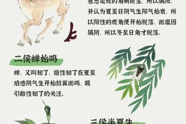 立夏天文现象解读：夏至前的天象变化