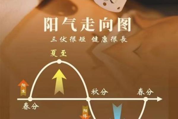 夏至节气：天文与养生的完美交汇点