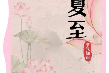 夏至节气：天文与养生的完美交汇点