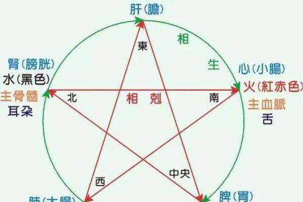 五行格局揭秘:君属何五行,性格解析让你知己知彼 五行格局揭秘:君属何五行,性格解析让你知己知彼