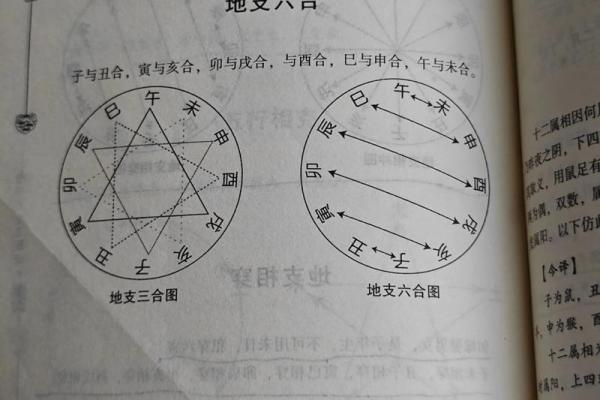 五行格局揭秘:君属何五行,性格解析让你知己知彼 五行格局揭秘:君属何五行,性格解析让你知己知彼