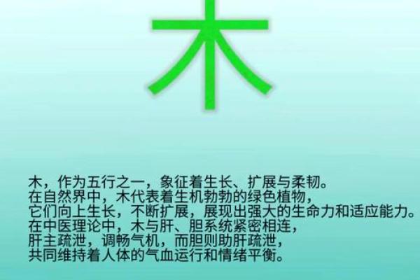 俪字五行格局误区大揭秘:你真的了解自己的性格吗? 俪字五行格局误区大揭秘:你真的了解自己的性格吗?