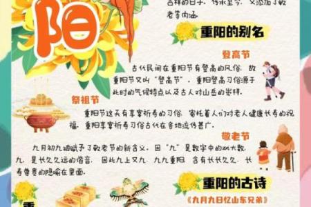 深入探讨节日背后的养生智慧与传统习俗