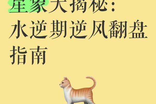 五行格局大揭秘：泽的误区与颠覆，真正了解自己才能逆风翻盘