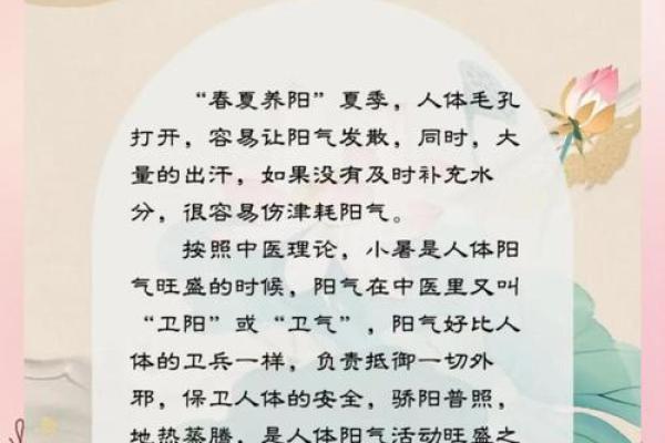 养生与节令:节日中的健康智慧 养生与节令:节日中的健康智慧