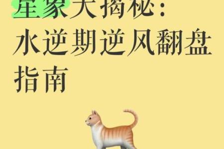 五行格局大揭秘：泽的误区与颠覆，真正了解自己才能逆风翻盘