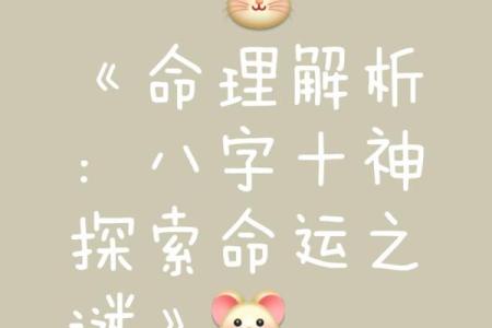 解开命运密码：八字命理背后的深层玄机
