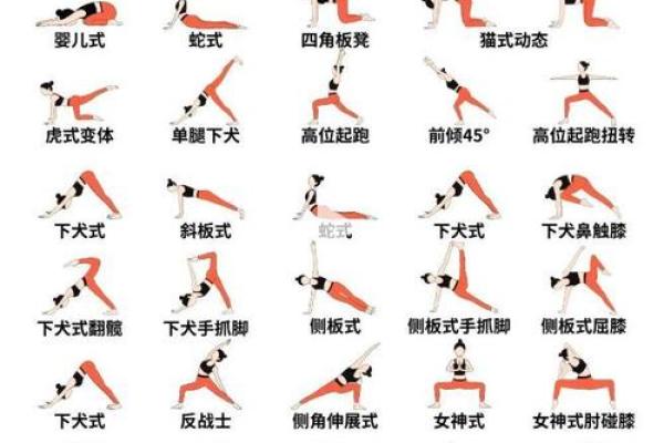 五行格局在瑜伽中的应用：性格解析教你轻松调整身心状态