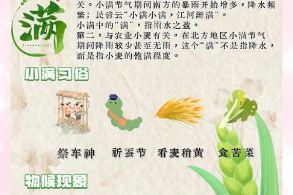 农耕节气的养生智慧