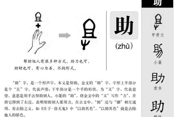 嘉字五行格局大揭秘:揭秘你的性格,如何改变你的运势? 嘉字五行格局大揭秘:揭秘你的性格,如何改变你的运势?