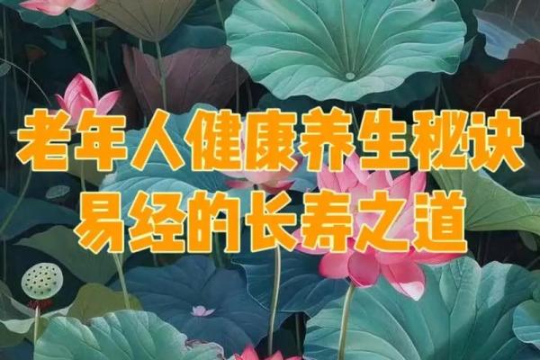 中国传统节日的养生意义与健康密码 中国传统节日的养生意义与健康密码