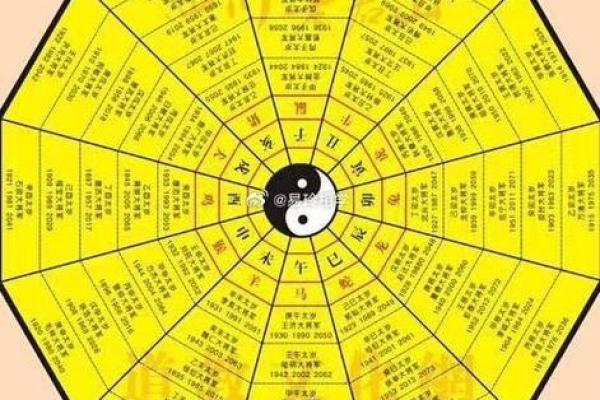 辛亥日五行格局解析:性格塑造的实用五行法则 辛亥日五行格局解析:性格塑造的实用五行法则