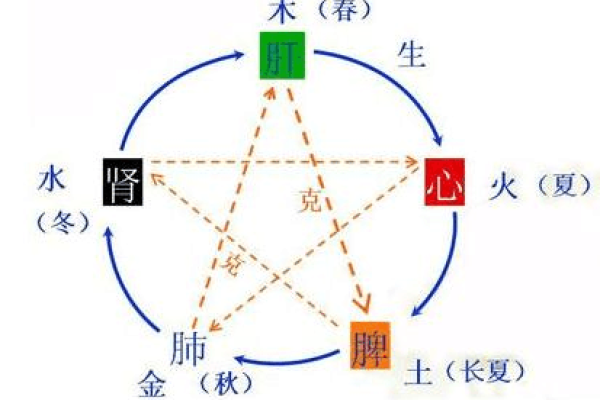 五官五行属性探秘：性格解析的神秘之旅