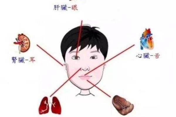 五官五行属性探秘：性格解析的神秘之旅