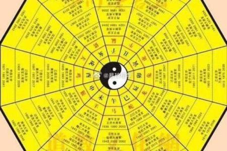 辛亥日五行格局解析：性格塑造的实用五行法则