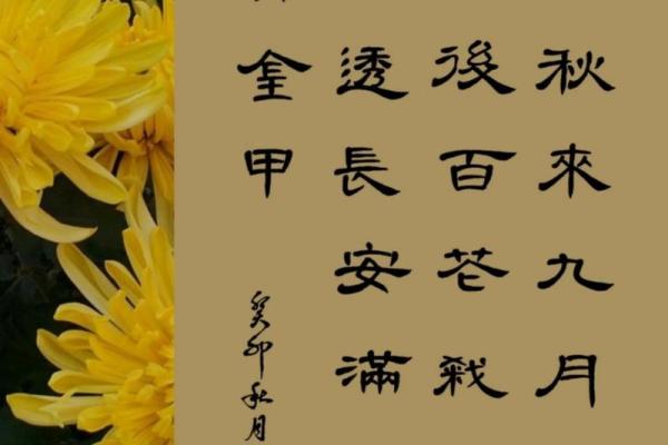 诗词中的重阳节：秋高气爽与养生文化的结合