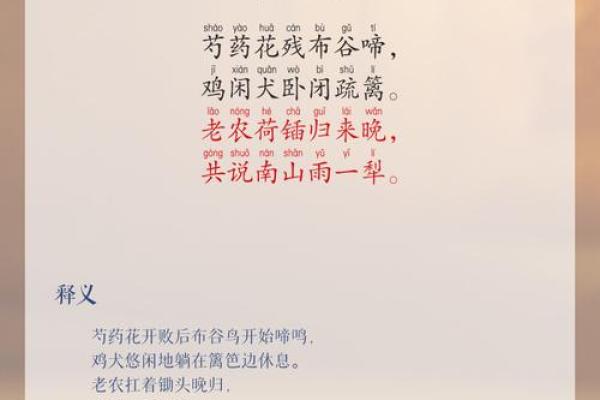 探寻农耕社会中的传统节日与自然节令
