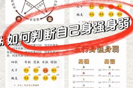 五行误区大揭秘：早五行属木，颠覆传统性格解析与改变方法