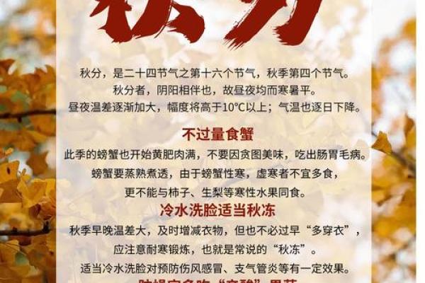 节气与养生：如何在秋季保持健康