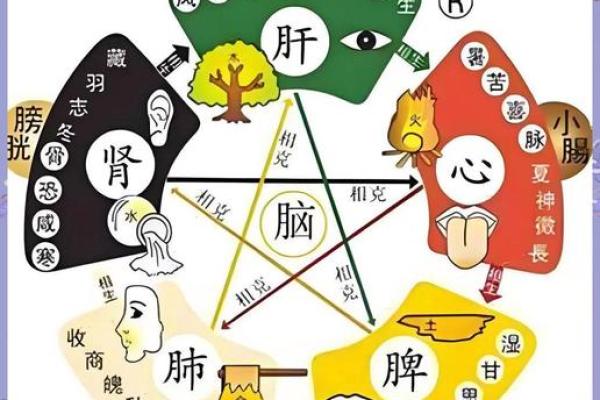 五行格局揭秘：颠覆传统观念，揭秘性格解析新视角