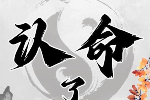 揭开丙火命理的命运密码，误区分析让你重新审视人生选择