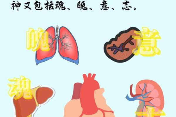 五行反而效应：意想不到的改变，让你的人生焕然一新