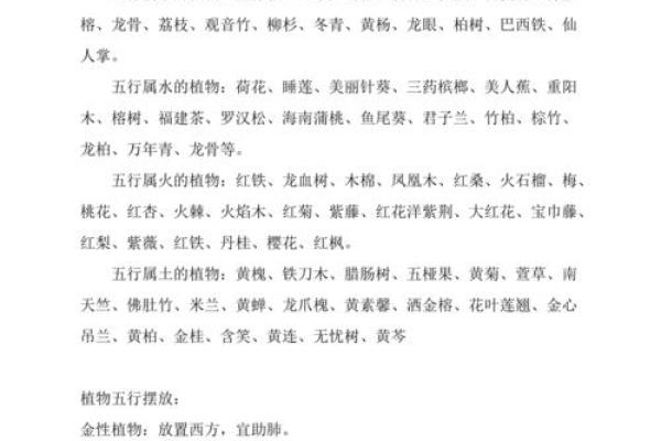 菲的五行属性大揭秘：如何通过性格解析改变人生格局