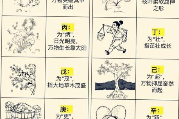 五行格局与性格:盺五行如何揭示你的独特魅力? 五行格局与性格:盺五行如何揭示你的独特魅力?