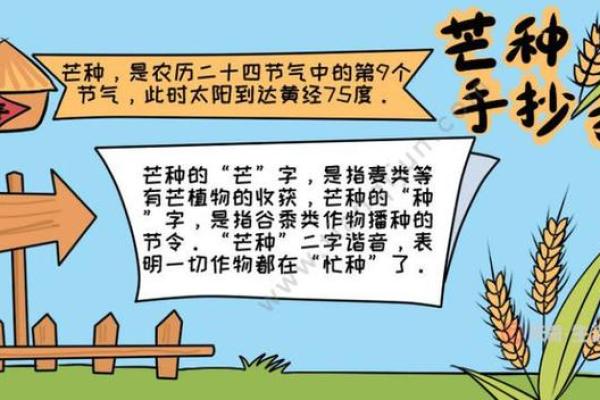 庆祝丰收的日子——中国传统农耕节令探秘