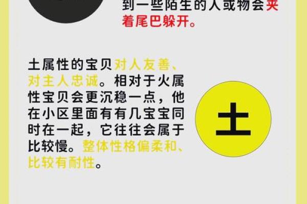 性格解析新视角:五行补火格局,揭秘你的内在热情源泉 性格解析新视角:五行补火格局,揭秘你的内在热情源泉