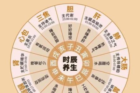 养生节日：各民族如何在节庆中注重健康与长寿