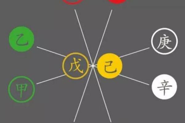 刘金财命理中的误区：你是否也误读了自己的八字？