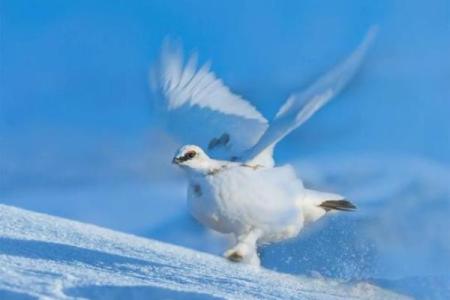 美国节日中的天文现象与季节变换