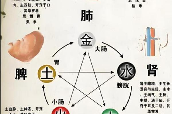 五行格局中的性格陷阱,你中招了吗?揭秘破解之道 五行格局中的性格陷阱,你中招了吗?揭秘破解之道