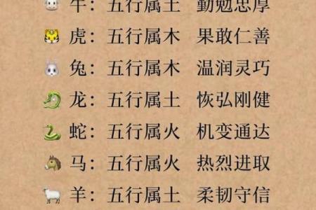 属龙的你，五行格局中藏着哪些性格秘密？