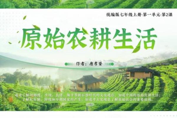 ——农耕文化中的重要日子,掌握夏季农业的关键时机 ——农耕文化中的重要日子,掌握夏季农业的关键时机