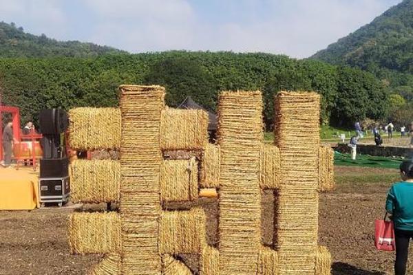 ——农耕文化中的重要日子,掌握夏季农业的关键时机 ——农耕文化中的重要日子,掌握夏季农业的关键时机