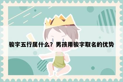 骏字五行属什么？男孩用骏字取名的优势