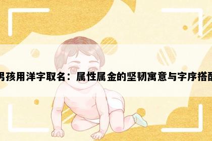 男孩用洋字取名：属性属金的坚韧寓意与字序搭配