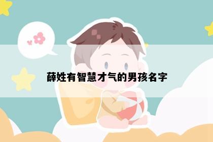 薛姓有智慧才气的男孩名字