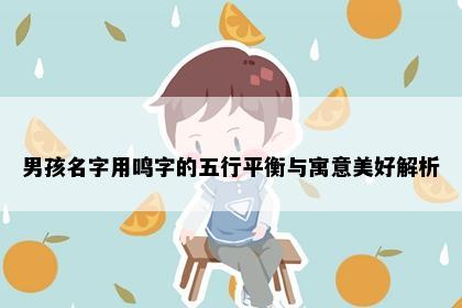 男孩名字用鸣字的五行平衡与寓意美好解析