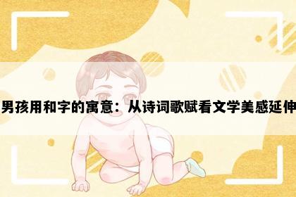 男孩用和字的寓意：从诗词歌赋看文学美感延伸