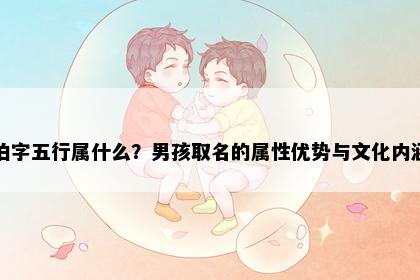 伯字五行属什么？男孩取名的属性优势与文化内涵