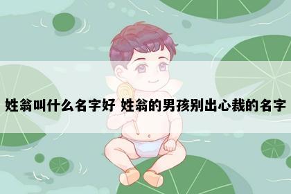 姓翁叫什么名字好 姓翁的男孩别出心裁的名字